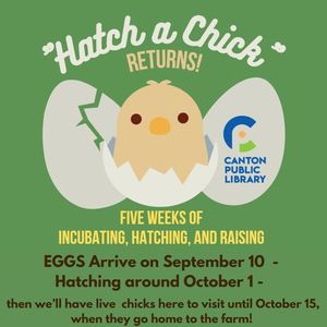 We’re Hatching